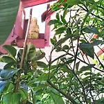 Le Paradis Des Fleurs By Interhome Nyaraló *