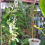 Le Paradis Des Fleurs By Interhome * Agon Coutainville