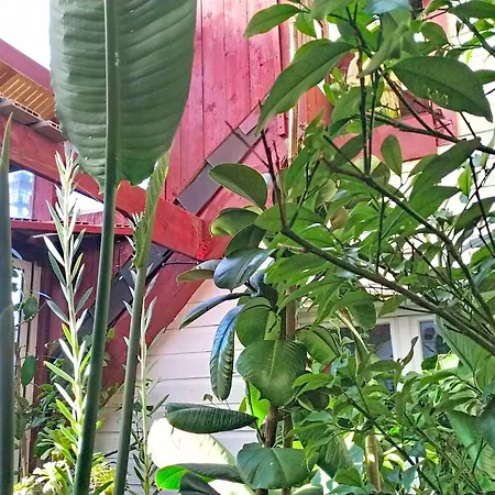 Nyaraló Le Paradis Des Fleurs By Interhome *