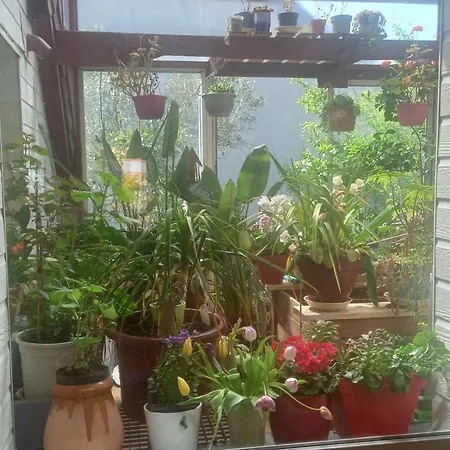 Le Paradis Des Fleurs By Interhome Nyaraló