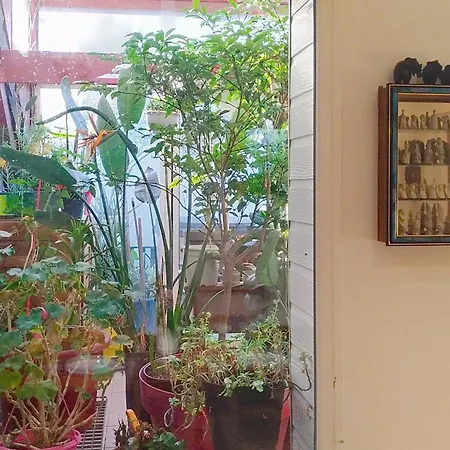 Le Paradis Des Fleurs By Interhome *
